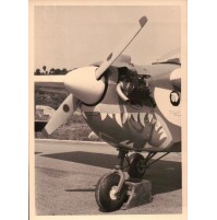 - FOTOGRAFIA  ANNI '60 - - AEROPLANO NELL'AEROPORTO DI VILLANOVA D'ALBENGA .