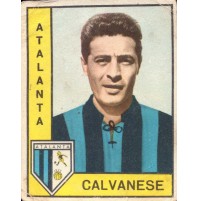 - Figurina CALCIATORI PANINI 1962/63 ATALANTA / CALVANESE - NUOVA -