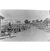 - NEGATIVA FOTOGRAFICA - REGIO ESERCITO DI STANZA IN ALBANIA 1915ca 3-150