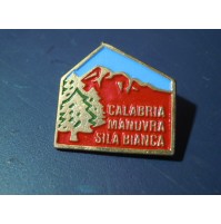 - SPILLA PINS ---- CALABRIA MANOVRA 