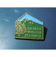 - SPILLA PINS ---- CALABRIA MANOVRA 