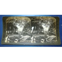 1902 - ANTICA FOTOGRAFIA CARTONATA STEREOSCOPICA - GARDENS COLOGNE GERMANY - 