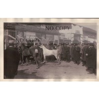 1930 - RARA FOTOGRAFIA DELLA FIERA DI SAN GIORGIO AD ALESSANDRIA -   C9-1169