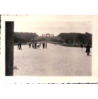 1936 - FOTO DI TURISTI A VIENNA WIEN - C11-874