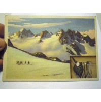 1941 - CARTOLINA DELL'ARMA DEGLI ALPINI - WWII - SECONDA GUERRA MONDIALE C11-560