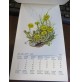 CALENDARIO DA APPENDERE Anno 1968 - Made in Germany - FIORI -