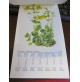 CALENDARIO DA APPENDERE Anno 1968 - Made in Germany - FIORI -