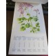 CALENDARIO DA APPENDERE Anno 1968 - Made in Germany - FIORI -