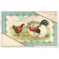 CARTOLINA AUGURALE - BUONA PASQUA - GALLINA GALLETTO E PULCINI UOVA - VG 1904