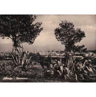 CARTOLINA DEL 1961 - Albenga panorama -   (C12-32)