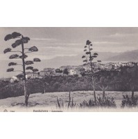 CARTOLINA DI BORDIGHERA IMPERIA PANORAMA ANNI '30  C1-47