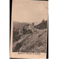 CARTOLINA DI SAVIGNONE GENOVA - IL CASTELLO -  VG 1906