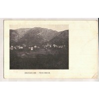 CARTOLINA DI SAVIGNONE - GENOVA - PANORAMA VG 1908 -