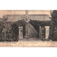 CARTOLINA DI VOGHERA ALESSANDRIA REGIA SCUOLA DI AGRICOLTURAF CALLINI C4-503