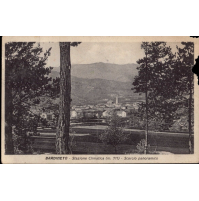 CARTOLINA STAZIONE CLIMATICA DI BARDINETO - VG 1939