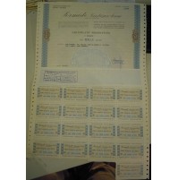 CERTIFICATO NOMINATIVO AZIONARIO SERMIDE GENOVA - 1975 - MILLE AZIONI  (MAN/1)