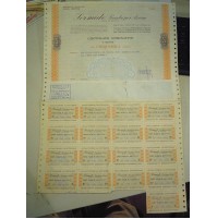 CERTIFICATO NOMINATIVO AZIONARIO SERMIDE GENOVA - 1978 - 5000 AZIONI  (MAN/5)