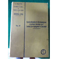 Commentario del Codice e delle leggi di Procedura Civile. Vol. IV