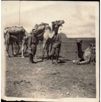 FOTO ANNI 30/40 - MILITARI REGNO D'ITALIA IN AFRICA - CAMMELLI - ASCARI -