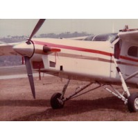 FOTO ANNI 80 - AEROPLANO IN AEROPORTO DI VILLANOVA D'ALBENGA -- C13-1165