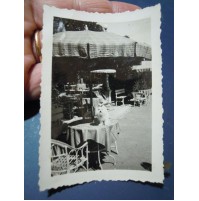 FOTO CAGNOLINO SU TAVOLINO BAR ALL'APERTO - ANNI '50 -