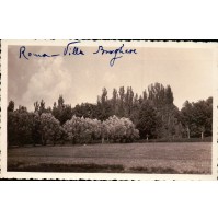 FOTOGRAFIA ANNI '30 - ROMA VILLA BORGHESE / PRATO