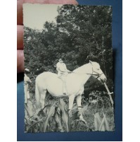 FOTOGRAFIA BAMBINA SU CAVALLO BIANCO - 1950ca 