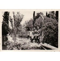 FOTOGRAFIA DEGLI ANNI '40 - MILITARI REGIO ESERCITO -- CREDO IN AFRICA --