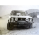 FOTOGRAFIA DEL 16 SETT 1977 ( BELLE EPOQUE ) RALLY - VW GOLF -