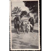 FOTOGRAFIA DEL 1936 - BAMBINO E PECORA SUL LUNGOCENTA ALBENGA