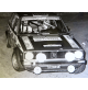 FOTOGRAFIA SPORTIVA ( fotoserviziorallye ) RALLYE DI SANREMO - VW GOLF -