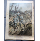 La Domenica del Corriere 1918 WW1 - BOIS DE COURTON MITRAGLIERE DI COSENZA