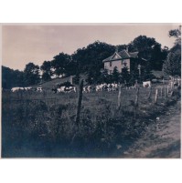 VERA FOTO REAL PHOTO 1920 FARM IN  MONROE Wisconsin U.S.A. 12-77