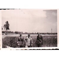 VERE FOTO MILITARI  DEL REGIO ESERCITO IN CAMPAGNA  